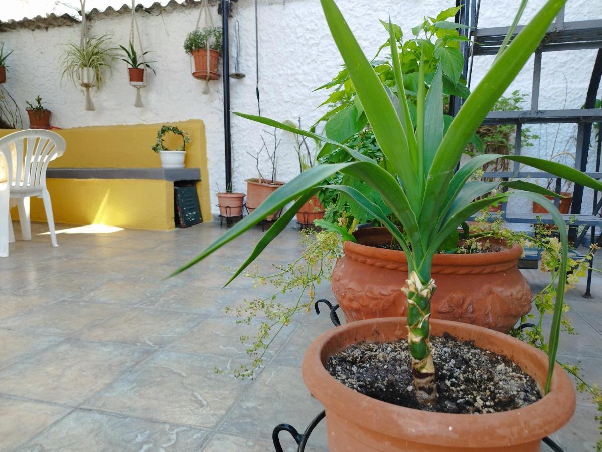 Voulas Guest House โวโลส ภายนอก รูปภาพ