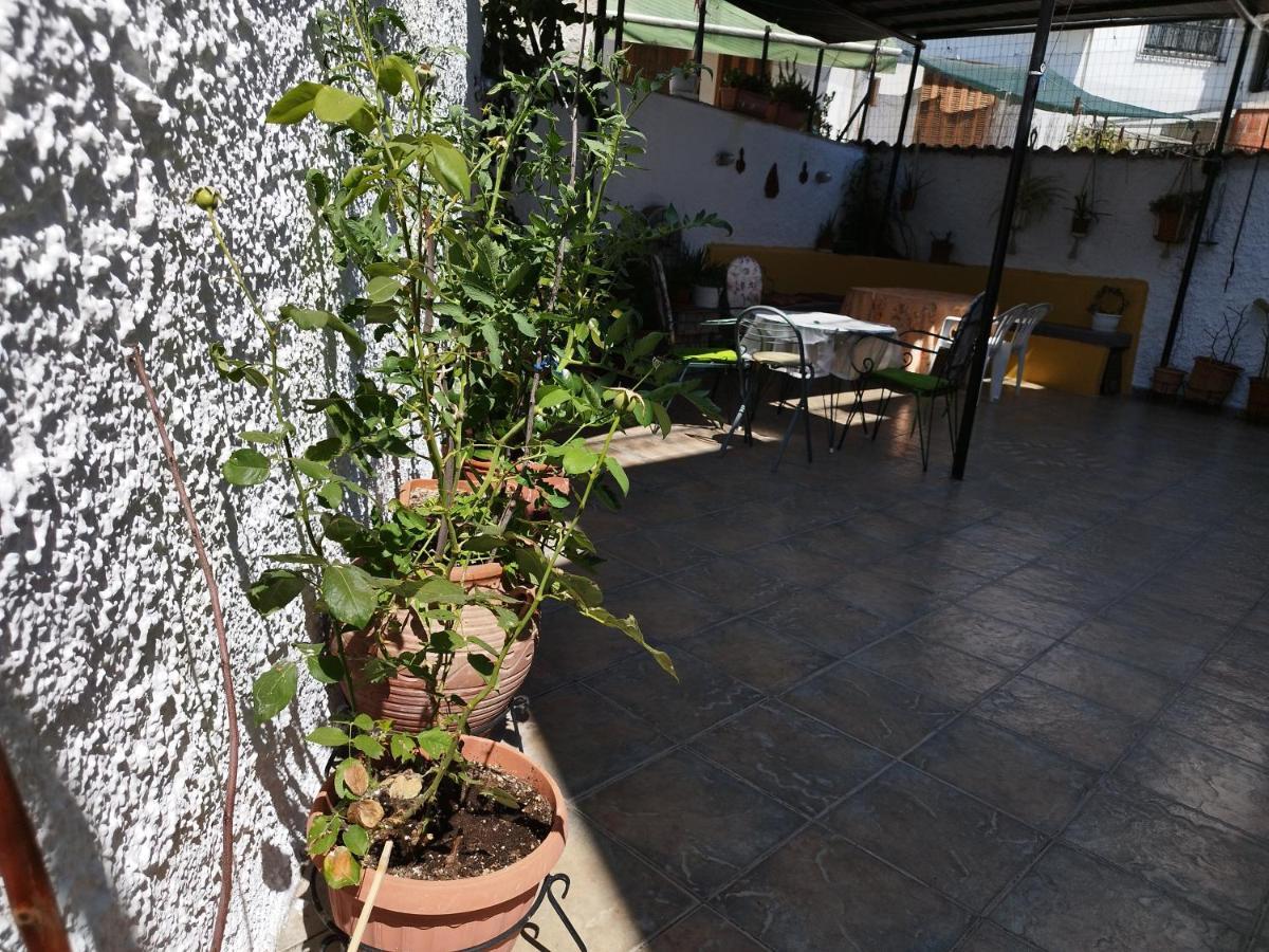Voulas Guest House โวโลส ภายนอก รูปภาพ